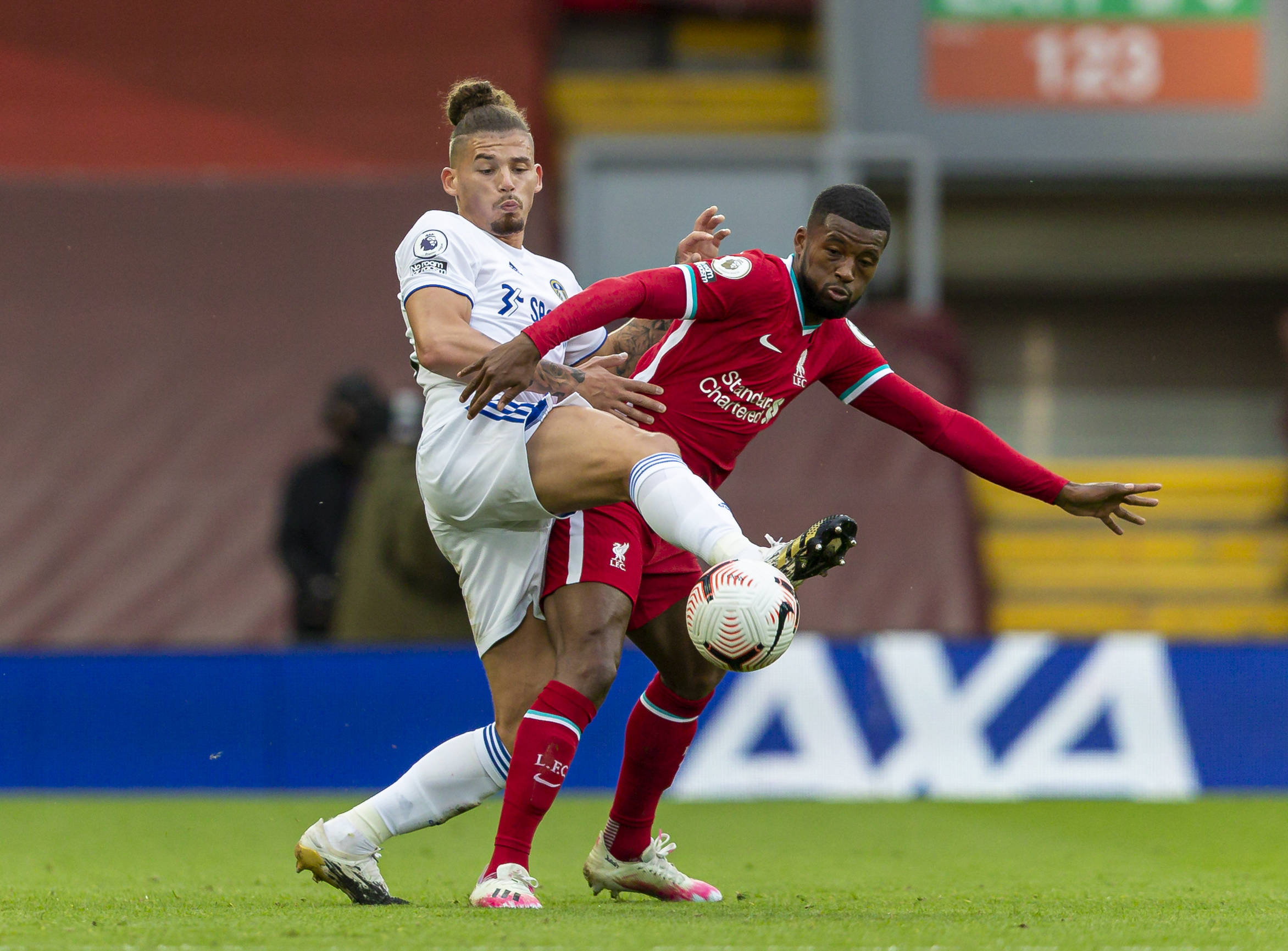 不仅拥有出 不仅拥有出